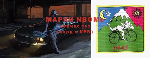 прущие грибы Ладушкин