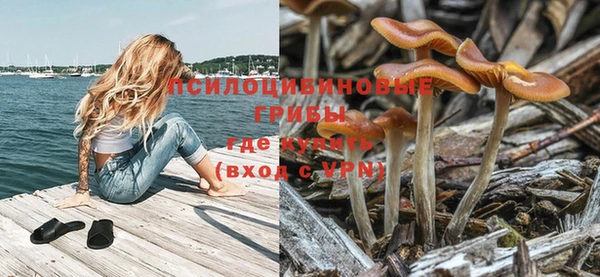 бошки Лагань