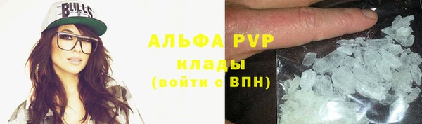 прущие грибы Ладушкин