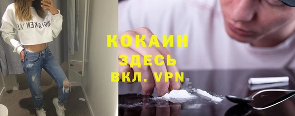 прущие грибы Ладушкин