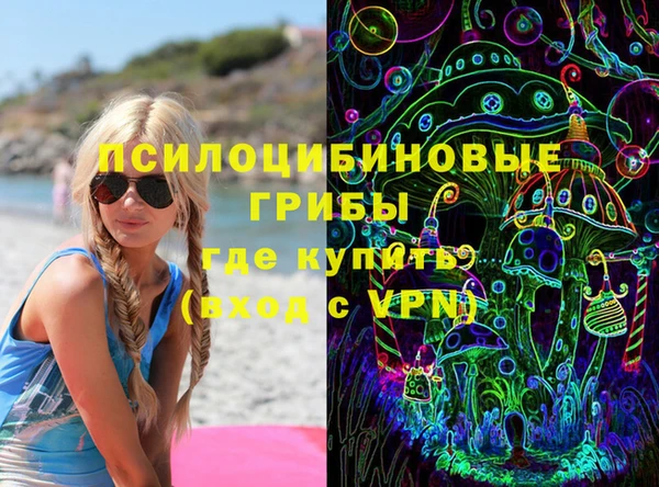 прущие грибы Ладушкин