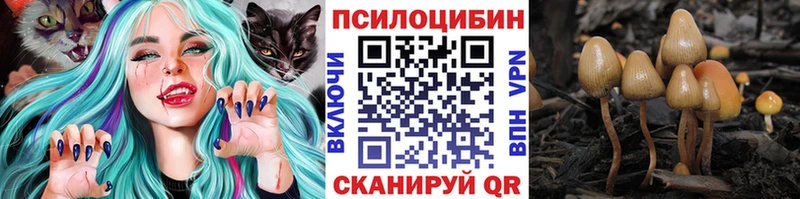 Псилоцибиновые грибы Cubensis Павловск